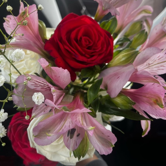 Meet your Posher, Ares._ - Picture 1 of 1